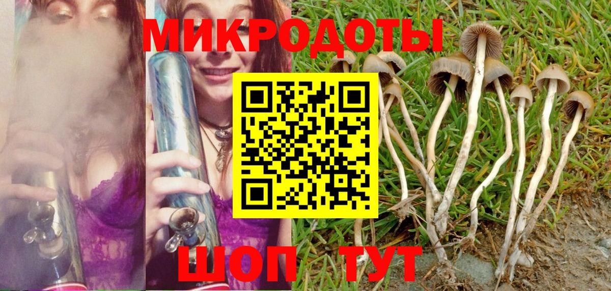 Псилоцибиновые грибы мухоморы Таганрог