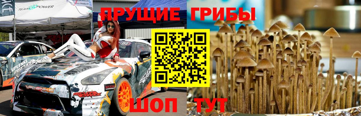 Таганрог  Галлюциногенные грибы Psilocybe  Вход с VPN  Псилоцибиновые грибы Cubensis 